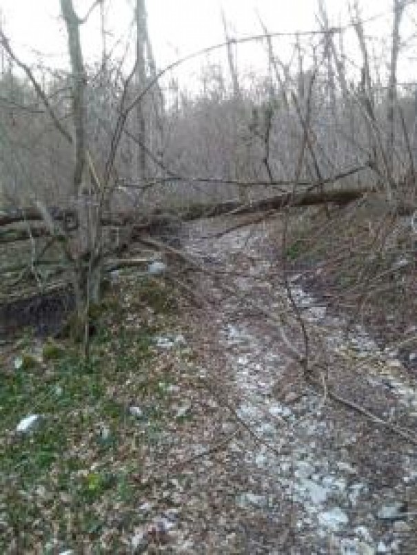 giornata ecologica 24/3/2018