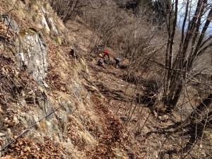 IMG_coldeldof2