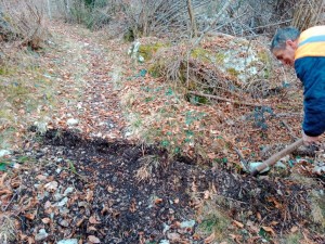 IMG_20240217_084753