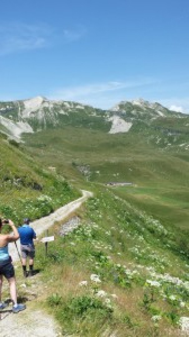 immagini escursione rifugio Dal Piaz