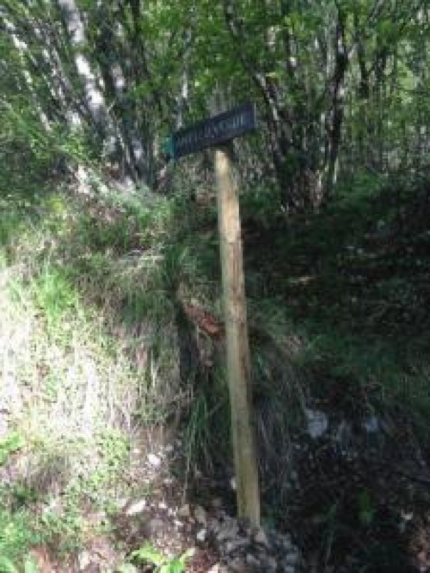 Manutenzione anello Verde 29.04.2017