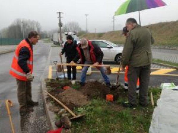 Manutenzione del 13/04/2019