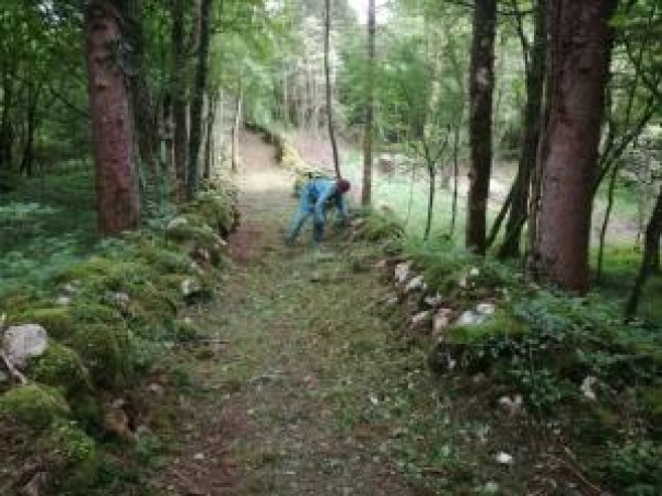 manutenzione sentieri: 15 giugno 2019