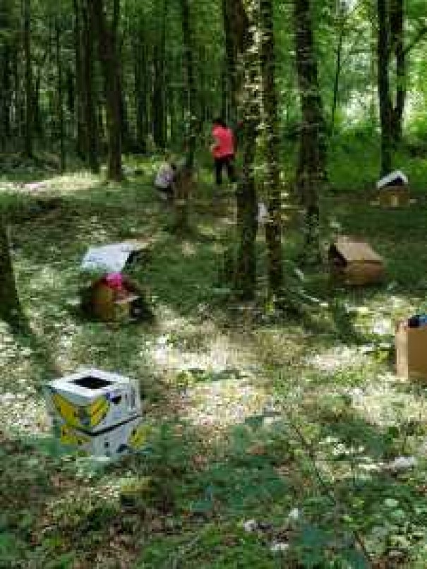 Asilo: 19 giugno 2019