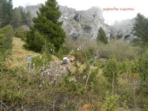 DSCN0862