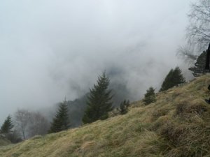 DSCN0867