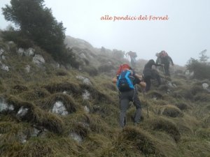 DSCN0868