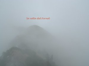 DSCN0875