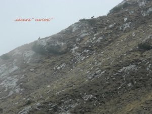 DSCN0878