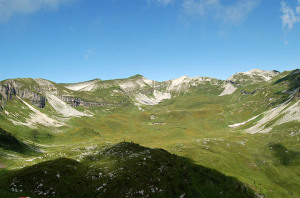 dalpiaz
