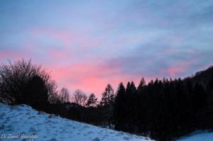 DSC_0941.NEF