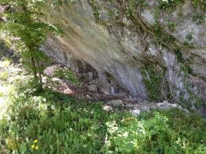 Cogol sopra Dagai-Susin