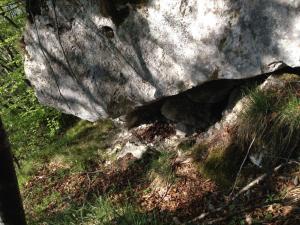 Cogol sopra bivio croce Susin