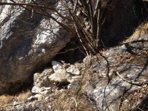 Cogol sotto la Giozona 1107 m