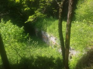 20180506-10