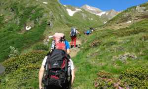 IMG-20180624-WA0102