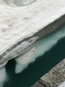 IMG-20180624-WA0118