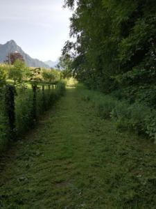IMG_20180609_085238
