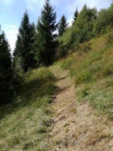 IMG_20180908_104656