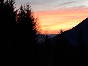 20190126_172406