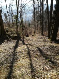 IMG_20190323_081826