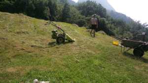 IMG-20190706-WA0005