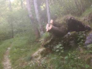 IMG_20190706_085444