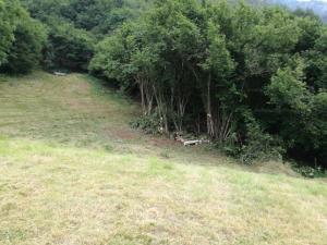 IMG_20190706_161049