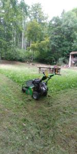 IMG-20190805-WA0012