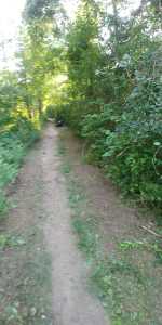 IMG-20190820-WA0017