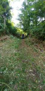 IMG-20190914-WA0001