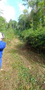 IMG-20190914-WA0004