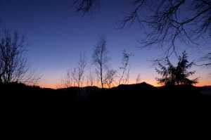 IMG-20200113-WA0004