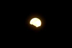 IMG-20200113-WA0006