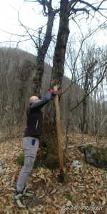 IMG-20200125-WA0001