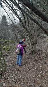 IMG-20200125-WA0003