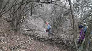 IMG-20200125-WA0005