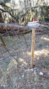 IMG-20200207-WA0014