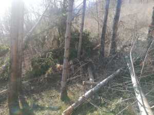 IMG-20200207-WA0019
