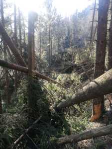 IMG-20200207-WA0021