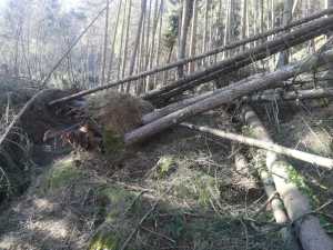 IMG-20200207-WA0025