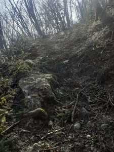 IMG-20200213-WA0008