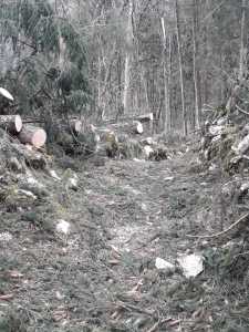 IMG-20200213-WA0013