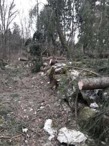 IMG-20200213-WA0018
