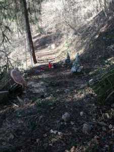 IMG-20200214-WA0010