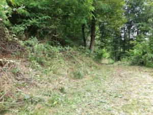 IMG_20190914_113045