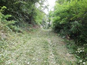 IMG_20190914_121538_1