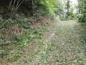 IMG_20190914_121557