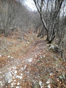 IMG_20200125_111135