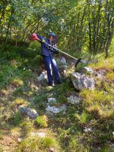 IMG-20200801-WA0011